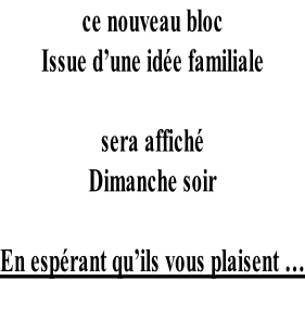 ce nouveau bloc  Issue d’une idée familiale   sera affiché  Dimanche soir     En espérant qu’ils vous plaisent …